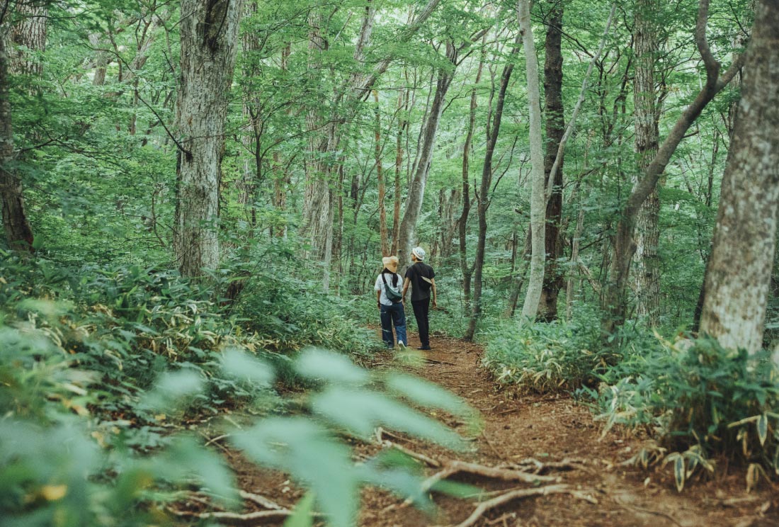 散歩道 散歩風景