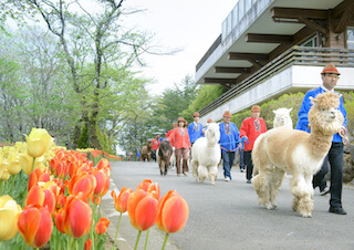 りんどう湖ファミリー牧場