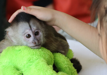 那須ワールドモンキーパーク