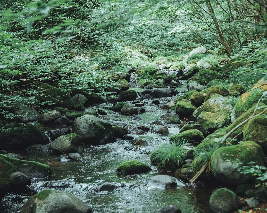 澄んだ空気の中で、深呼吸。