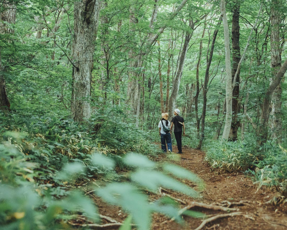 進むほど発見がある森の散歩道。
