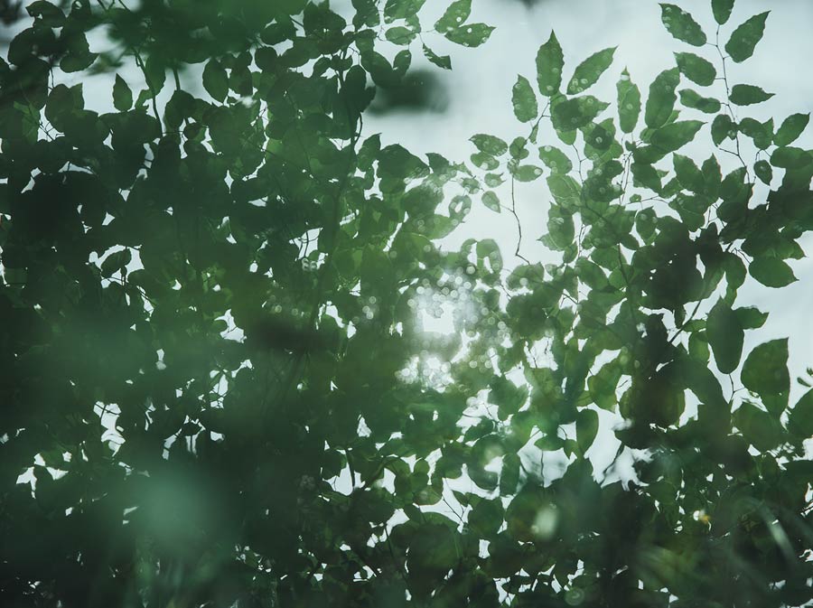 アクティビティ